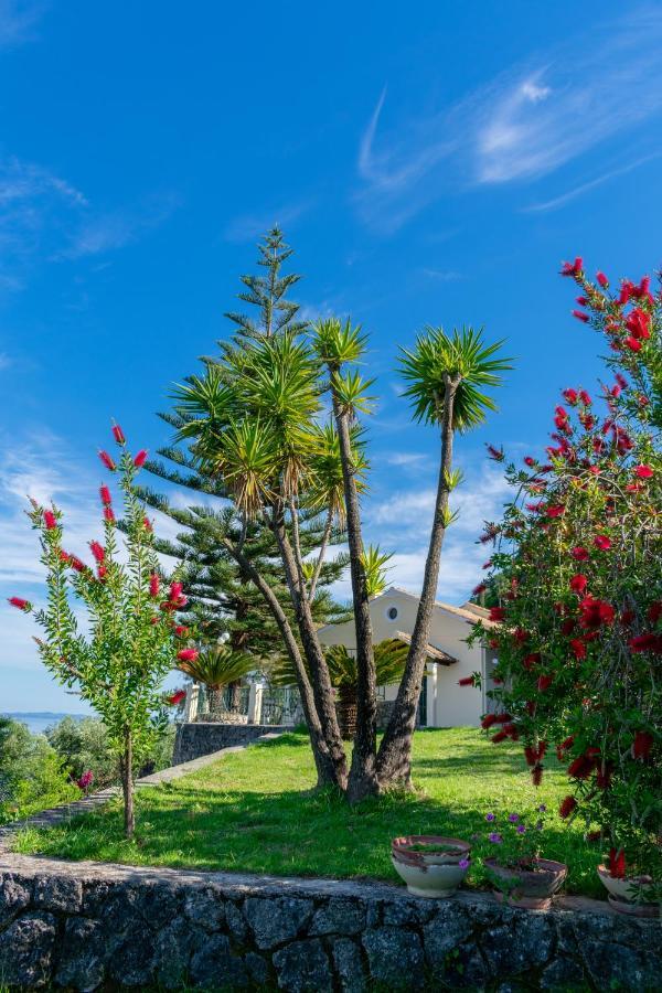 Villa Emily Achilleion Экстерьер фото